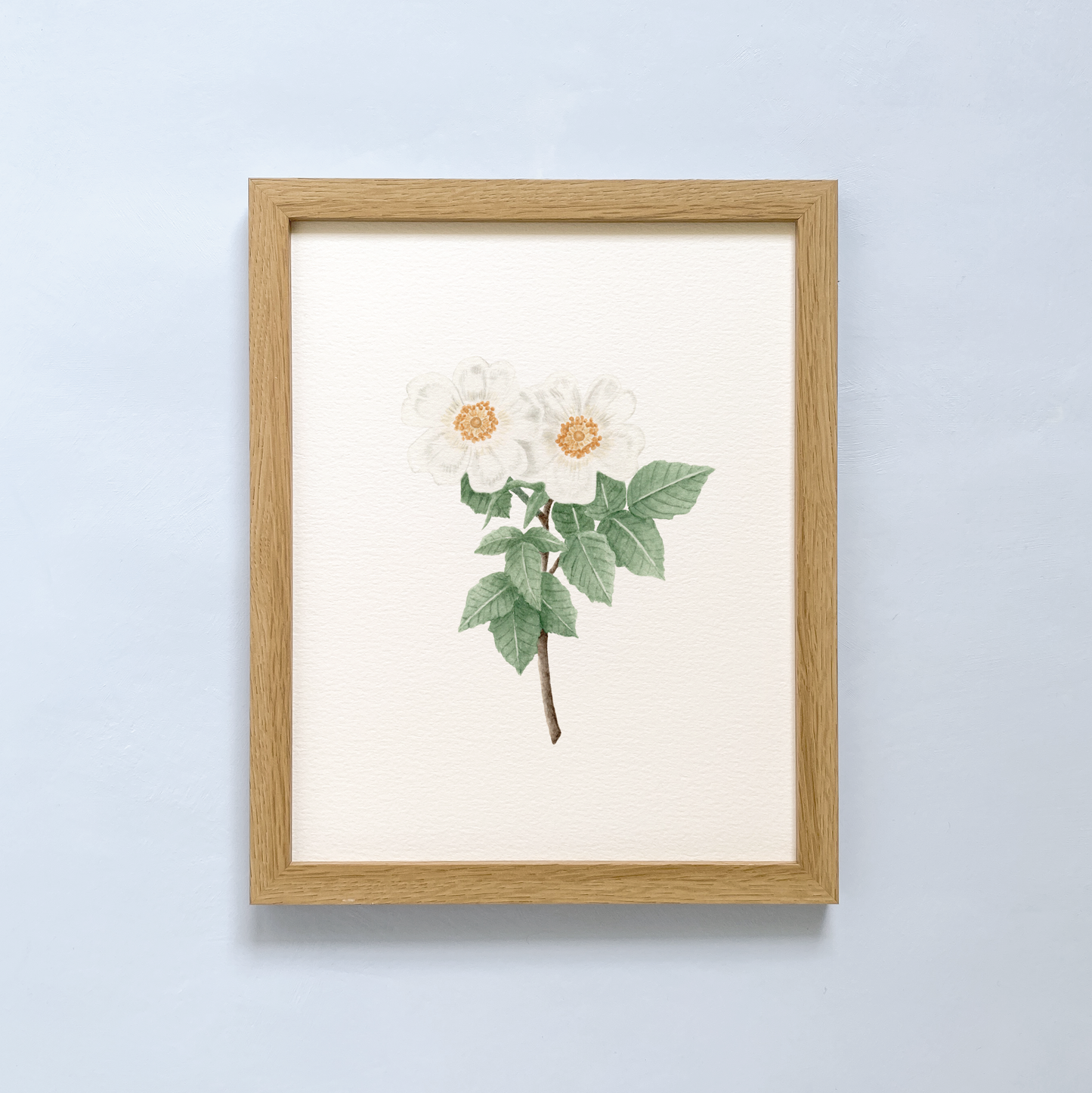 Garden Roses Art Print