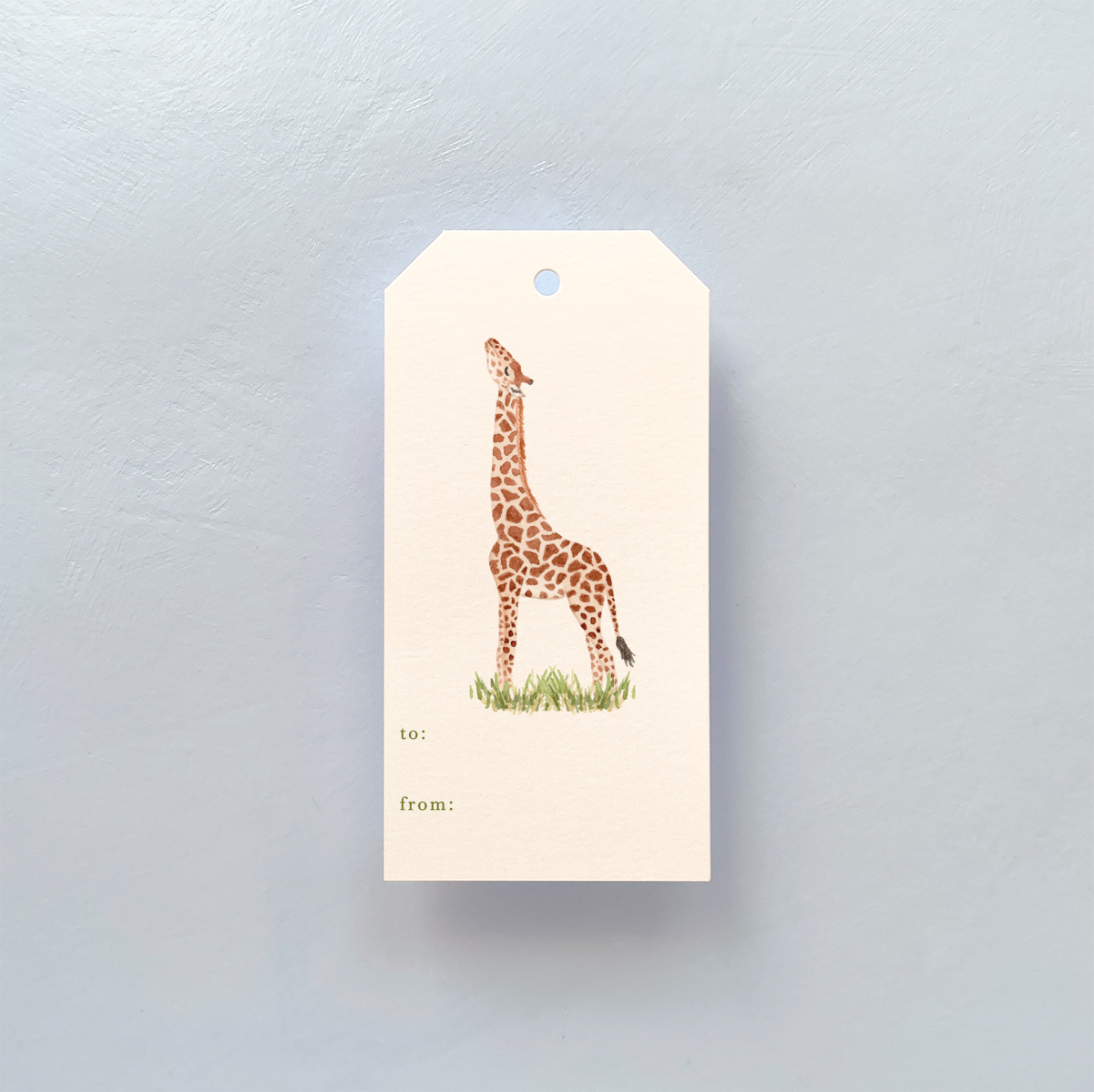 Safari Giraffe Gift Tag Set