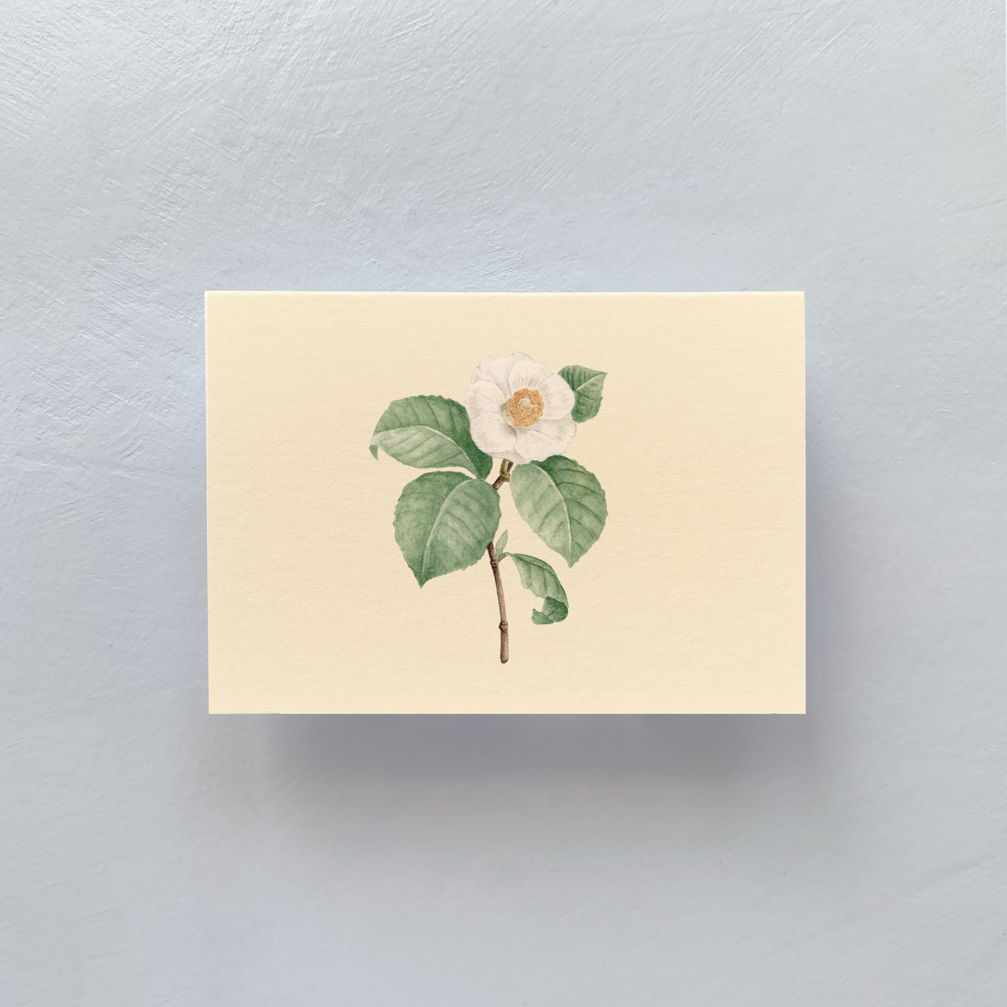 camelia design gift tag