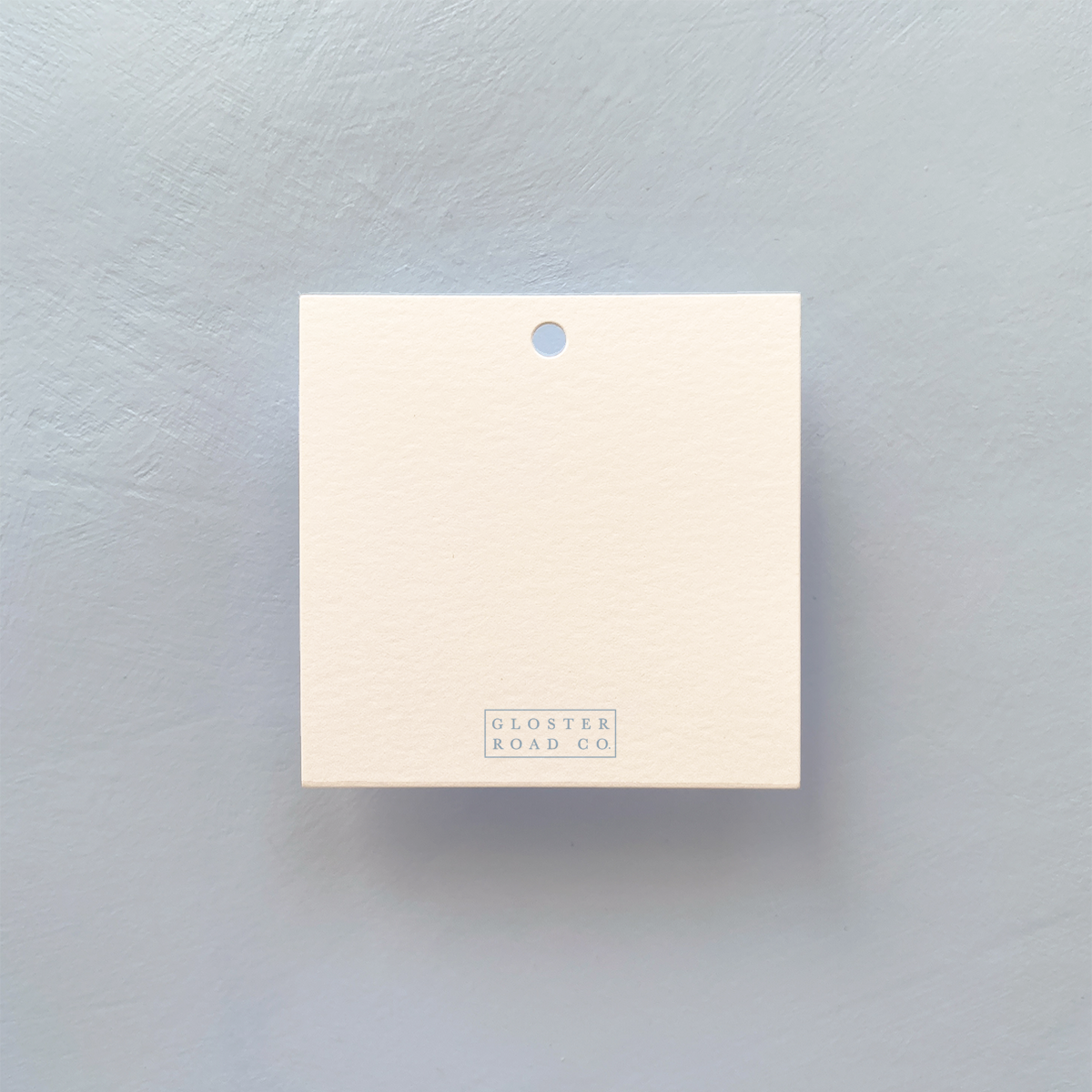 Blue Plane Gift Tag Set