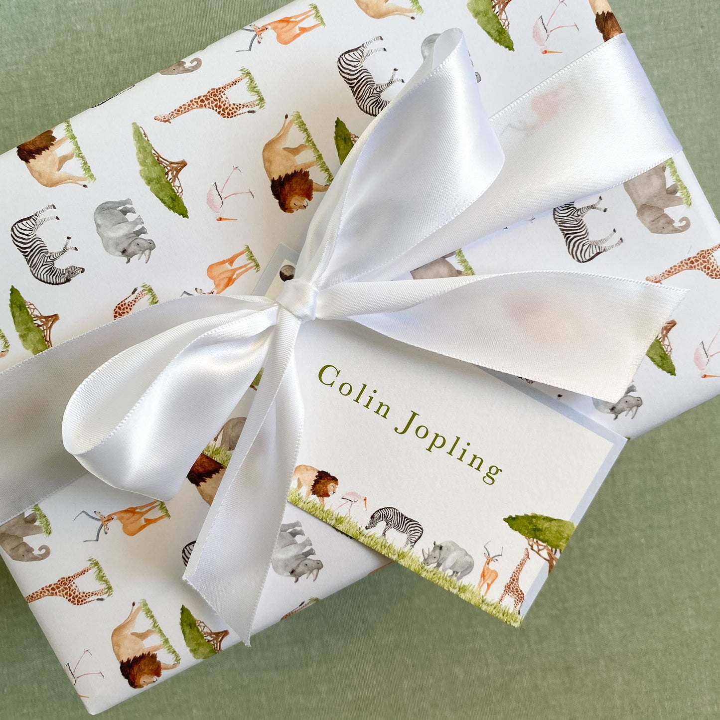 Personalized Safari Animals Rectangle Gift Tags