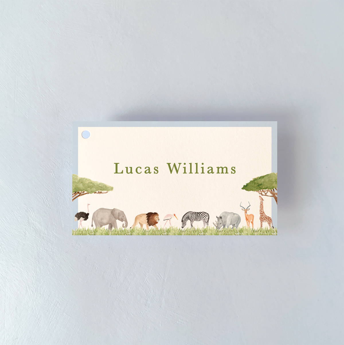 Personalized Safari Animals Rectangle Gift Tags