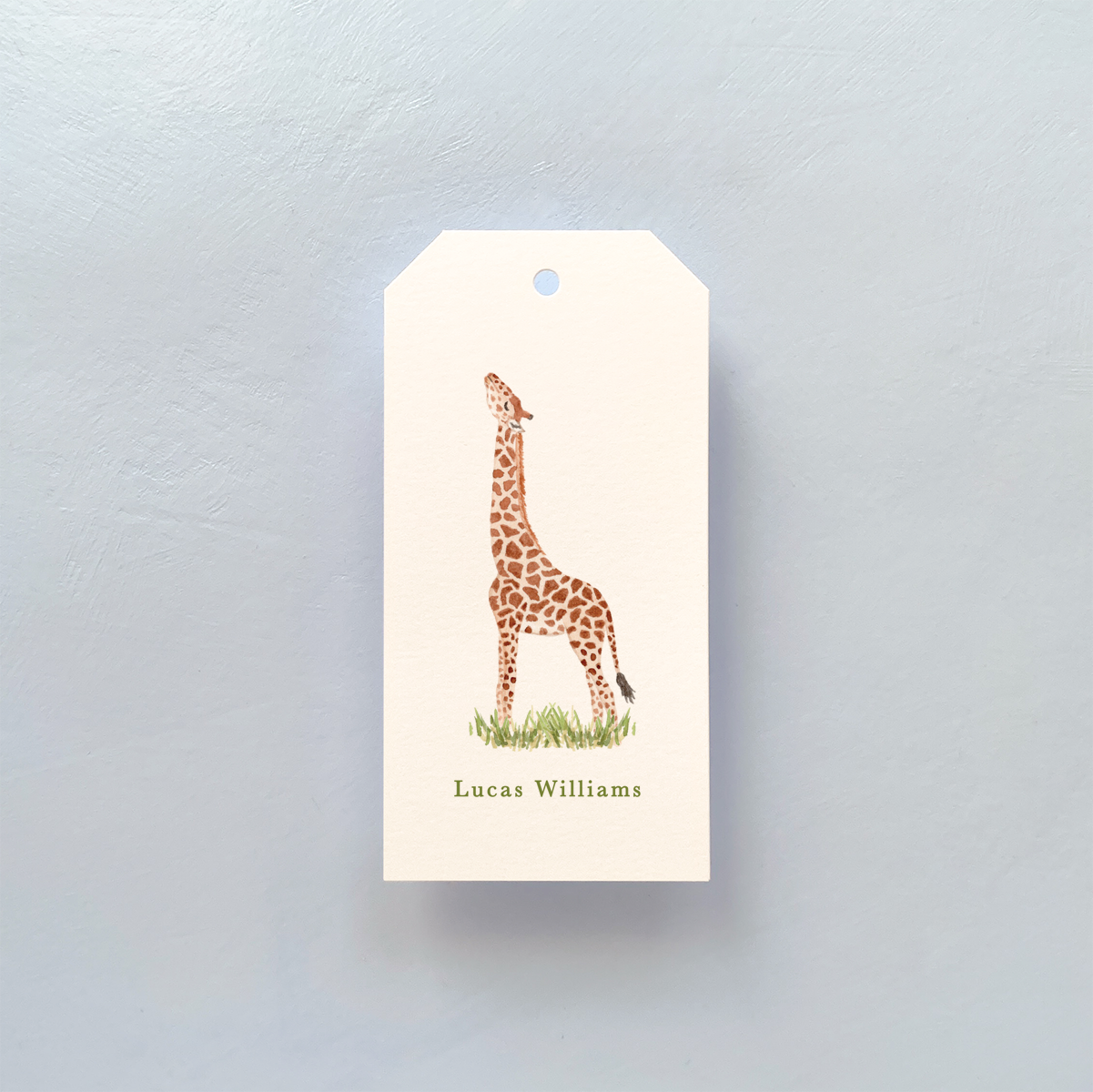 Personalized Safari Animal Giraffe Gift Tags